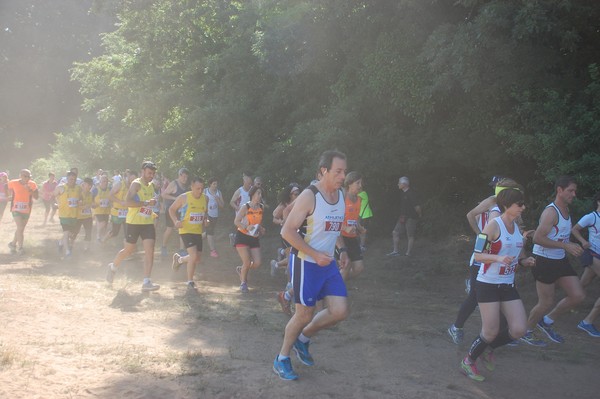 Trofeo Città di Nettuno (02/06/2015) 00105