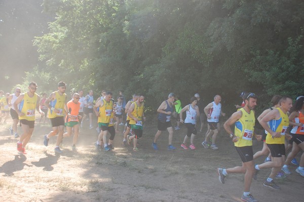 Trofeo Città di Nettuno (02/06/2015) 00107