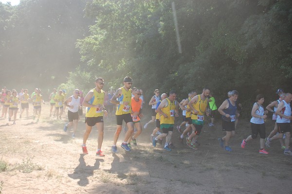 Trofeo Città di Nettuno (02/06/2015) 00108
