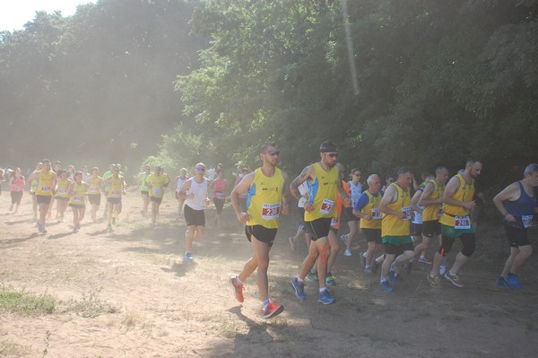 Trofeo Città di Nettuno (02/06/2015) 00109