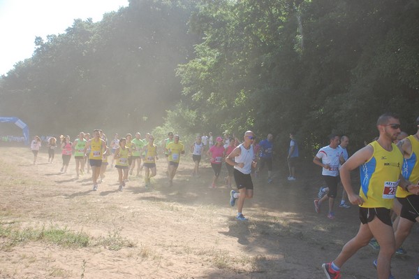Trofeo Città di Nettuno (02/06/2015) 00110
