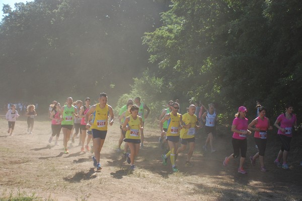 Trofeo Città di Nettuno (02/06/2015) 00112