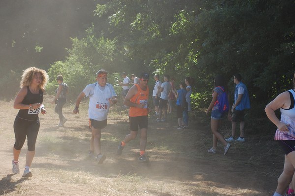 Trofeo Città di Nettuno (02/06/2015) 00121