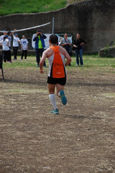 Tibur Ecotrail (02/05/2015) 00035