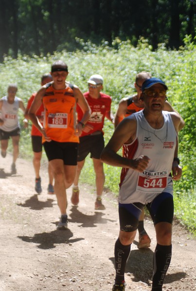 Trofeo Città di Nettuno (02/06/2015) 00011