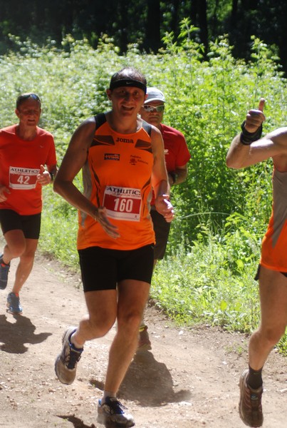 Trofeo Città di Nettuno (02/06/2015) 00013