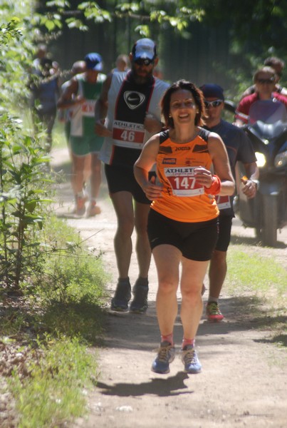 Trofeo Città di Nettuno (02/06/2015) 00089