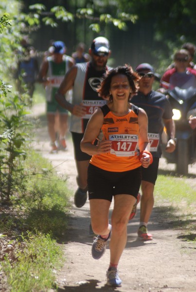 Trofeo Città di Nettuno (02/06/2015) 00090