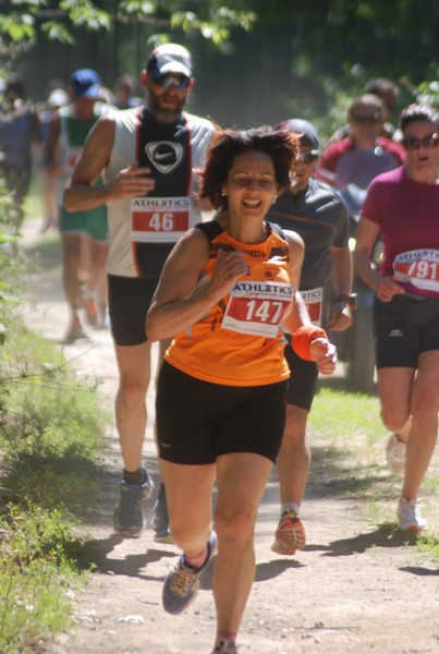 Trofeo Città di Nettuno (02/06/2015) 00091