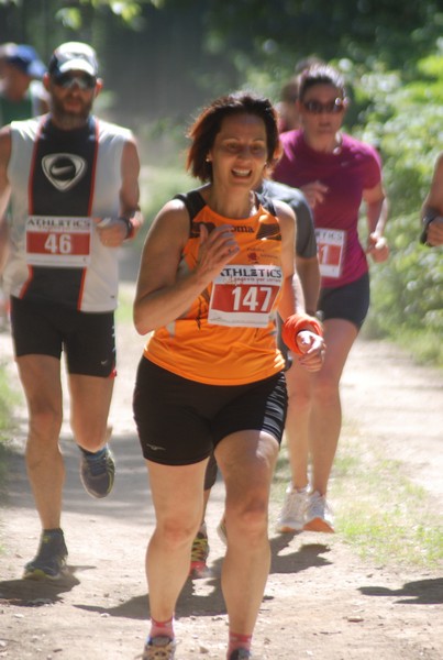 Trofeo Città di Nettuno (02/06/2015) 00092