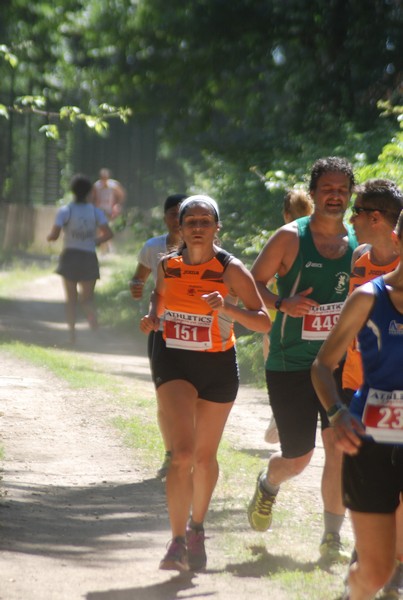Trofeo Città di Nettuno (02/06/2015) 00110
