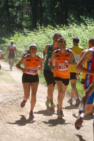 Trofeo Città di Nettuno (02/06/2015) 00112