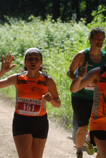 Trofeo Città di Nettuno (02/06/2015) 00116