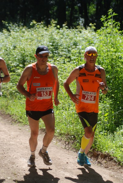 Trofeo Città di Nettuno (02/06/2015) 00132