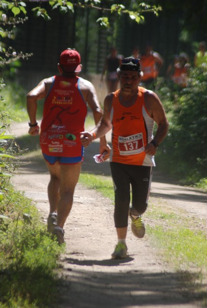 Trofeo Città di Nettuno (02/06/2015) 00149