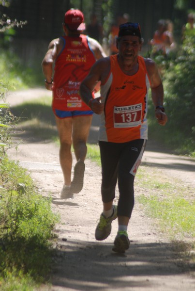Trofeo Città di Nettuno (02/06/2015) 00150