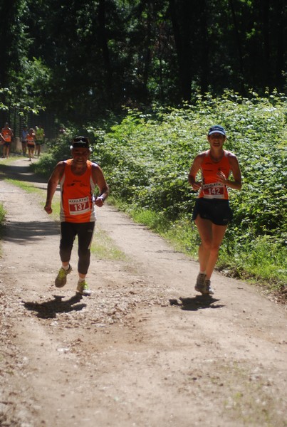 Trofeo Città di Nettuno (02/06/2015) 00156