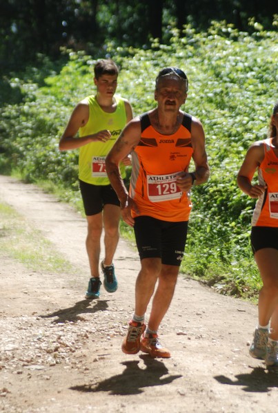 Trofeo Città di Nettuno (02/06/2015) 00169