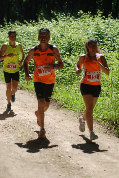 Trofeo Città di Nettuno (02/06/2015) 00172
