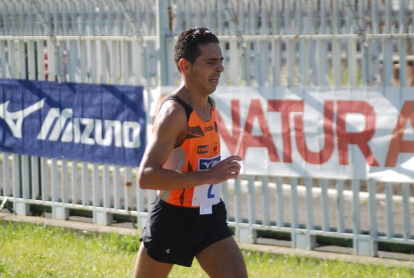 Trofeo Podistica Solidarietà (27/09/2015) 00010