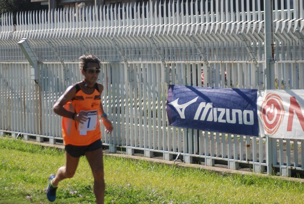 Trofeo Podistica Solidarietà (27/09/2015) 00034