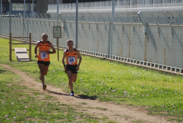 Trofeo Podistica Solidarietà (27/09/2015) 00037