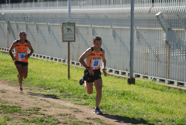 Trofeo Podistica Solidarietà (27/09/2015) 00039