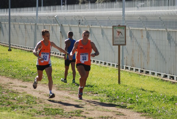 Trofeo Podistica Solidarietà (27/09/2015) 00052