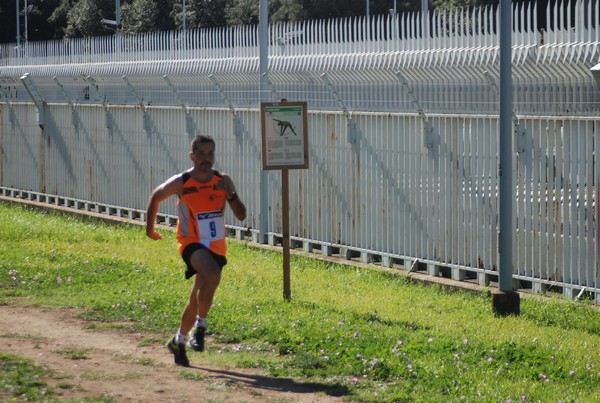 Trofeo Podistica Solidarietà (27/09/2015) 00071