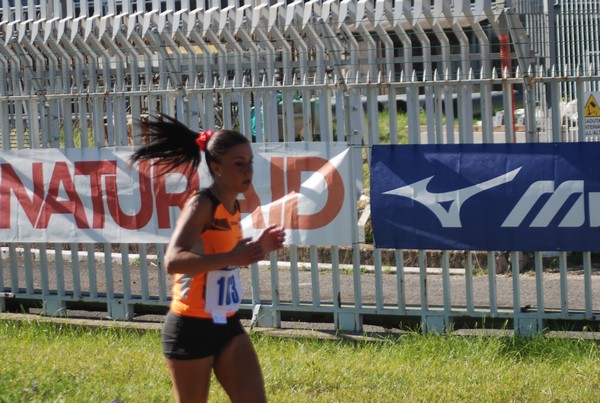 Trofeo Podistica Solidarietà (27/09/2015) 00073