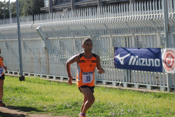 Trofeo Podistica Solidarietà (27/09/2015) 00079