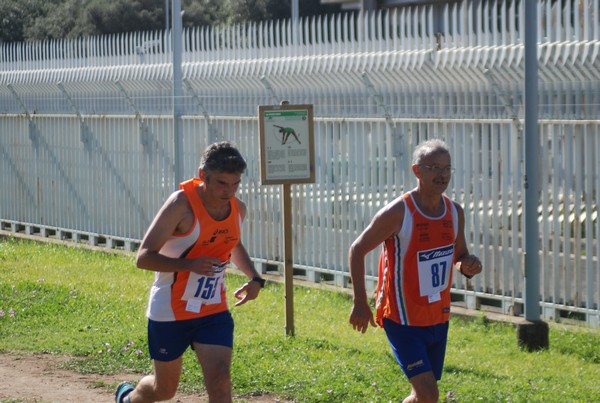 Trofeo Podistica Solidarietà (27/09/2015) 00094