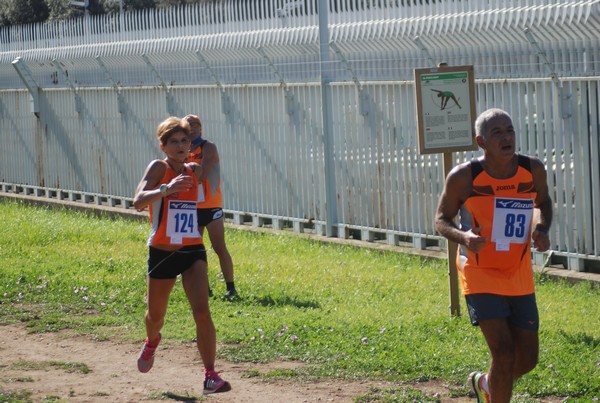 Trofeo Podistica Solidarietà (27/09/2015) 00097
