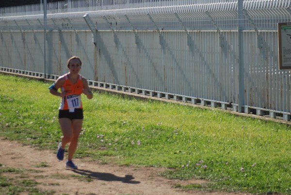 Trofeo Podistica Solidarietà (27/09/2015) 00105