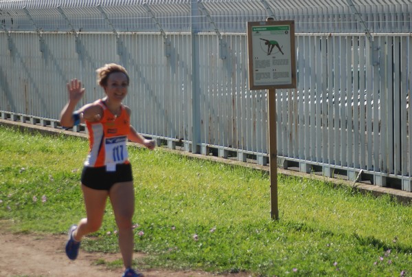 Trofeo Podistica Solidarietà (27/09/2015) 00106