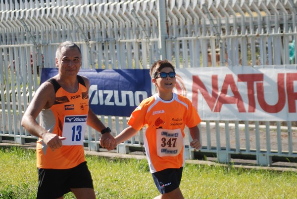 Trofeo Podistica Solidarietà (27/09/2015) 00124
