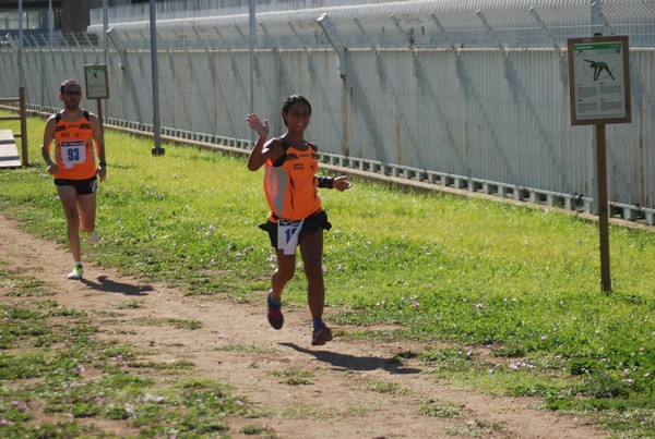 Trofeo Podistica Solidarietà (27/09/2015) 00154