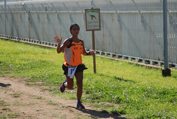 Trofeo Podistica Solidarietà (27/09/2015) 00155