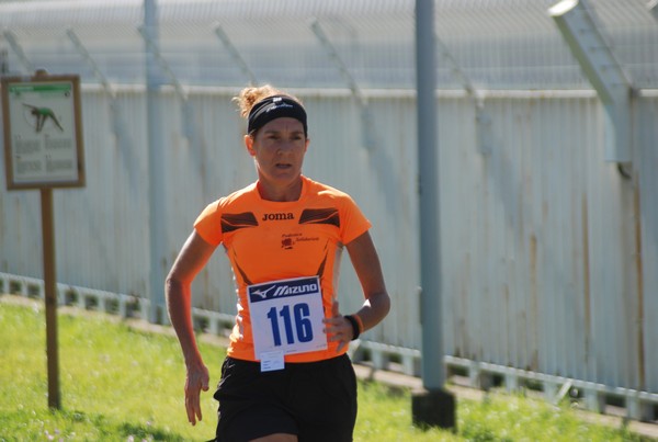 Trofeo Podistica Solidarietà (27/09/2015) 00178