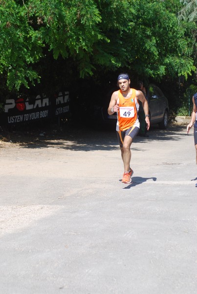 Maratonina di Villa Adriana (31/05/2015) 00008