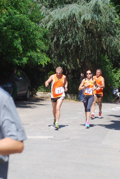 Maratonina di Villa Adriana (31/05/2015) 00011