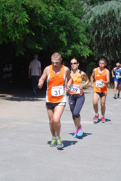 Maratonina di Villa Adriana (31/05/2015) 00012