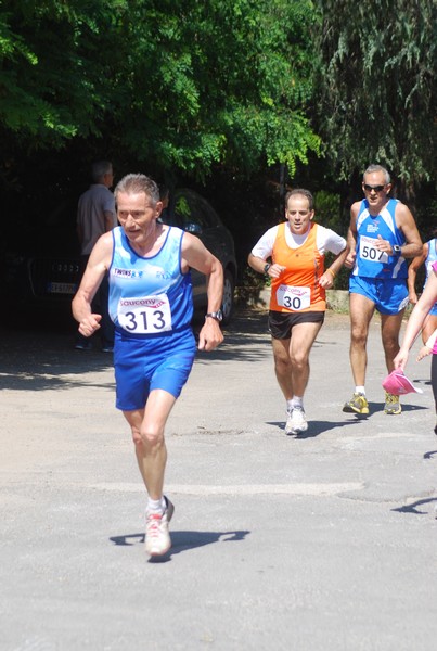 Maratonina di Villa Adriana (31/05/2015) 00018