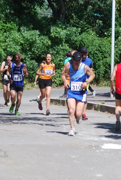Maratonina di Villa Adriana (31/05/2015) 00028