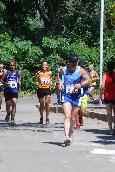 Maratonina di Villa Adriana (31/05/2015) 00029