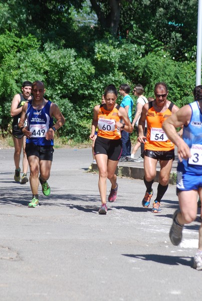 Maratonina di Villa Adriana (31/05/2015) 00031