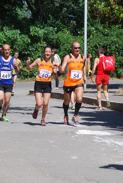 Maratonina di Villa Adriana (31/05/2015) 00033