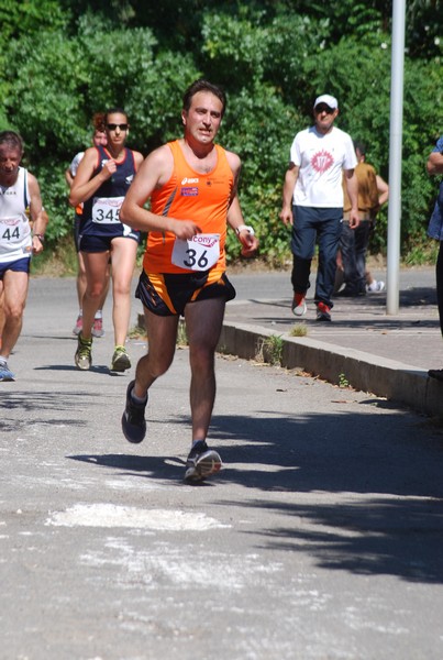 Maratonina di Villa Adriana (31/05/2015) 00051