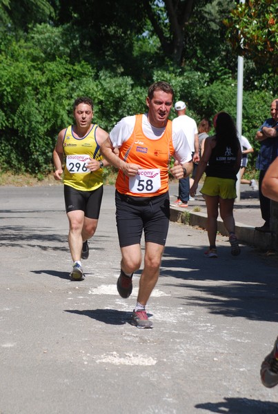 Maratonina di Villa Adriana (31/05/2015) 00062
