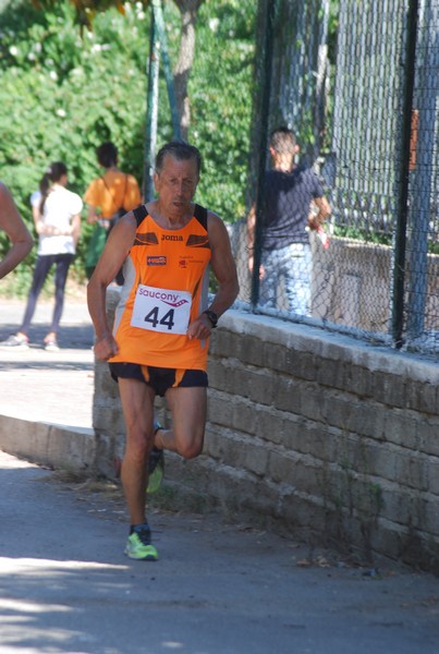 Maratonina di Villa Adriana (31/05/2015) 00100